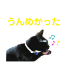 かーちゃんちのスタンプ（個別スタンプ：16）
