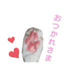 かーちゃんちのスタンプ（個別スタンプ：21）