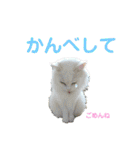 かーちゃんちのスタンプ（個別スタンプ：24）
