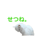 かーちゃんちのスタンプ（個別スタンプ：25）
