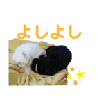 かーちゃんちのスタンプ（個別スタンプ：27）