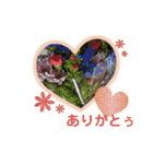 かーちゃんちのスタンプ（個別スタンプ：30）