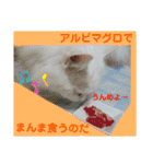 かーちゃんちのスタンプ（個別スタンプ：33）