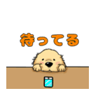 ゴルちゃんの日常スタンプ（日本語 ver.）（個別スタンプ：1）