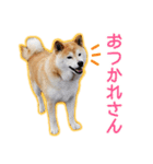 播州のごんちゃん（個別スタンプ：7）