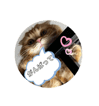 モコ❤️モコ（個別スタンプ：4）