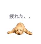 こたんぷ☺︎（個別スタンプ：2）