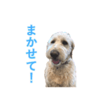 こたんぷ☺︎（個別スタンプ：6）