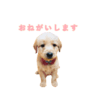 こたんぷ☺︎（個別スタンプ：8）