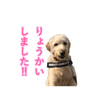 こたんぷ☺︎（個別スタンプ：13）