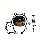スペシャルしんちゃん特集（個別スタンプ：6）