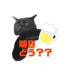 万能黒猫 木下三四郎 16ver（個別スタンプ：4）