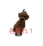 稀に使うピノスタンプ（個別スタンプ：2）
