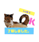 なーなの気持ち！(日常編)（個別スタンプ：3）