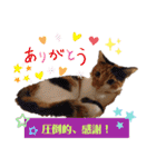 なーなの気持ち！(日常編)（個別スタンプ：4）