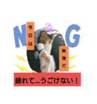なーなの気持ち！(日常編)（個別スタンプ：7）
