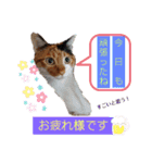 なーなの気持ち！(日常編)（個別スタンプ：8）