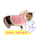 なーなの気持ち！(日常編)（個別スタンプ：12）