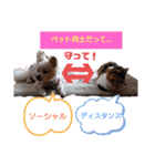 なーなの気持ち！(日常編)（個別スタンプ：14）
