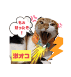 なーなの気持ち！(日常編)（個別スタンプ：16）