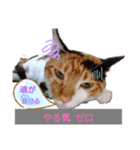なーなの気持ち！(日常編)（個別スタンプ：17）