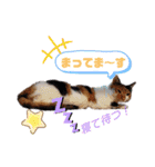なーなの気持ち！(日常編)（個別スタンプ：21）