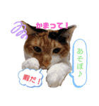なーなの気持ち！(日常編)（個別スタンプ：22）