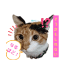 なーなの気持ち！(日常編)（個別スタンプ：23）