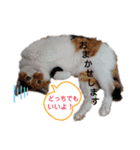 なーなの気持ち！(日常編)（個別スタンプ：24）