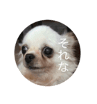 わたしとはなここ（個別スタンプ：2）