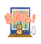 MY CATS STAMP ！！（個別スタンプ：8）