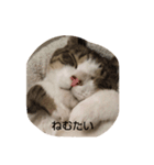 えーしょー画伯（個別スタンプ：7）