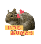 でぐーのむさしくん（個別スタンプ：8）