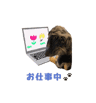 諭吉くんの日常スタンプ（個別スタンプ：6）