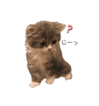 ねこはるすたんぷ（個別スタンプ：3）