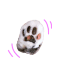 ねこはるすたんぷ（個別スタンプ：8）