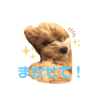 まるぷーのぷうちゃん（個別スタンプ：14）