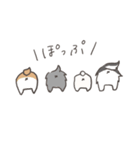 ぽっぷなスタンプ（個別スタンプ：40）
