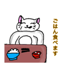 白猫のみーちゃん（個別スタンプ：13）