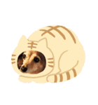 飼い主しか得しないやつ（個別スタンプ：2）