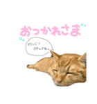 くたーくんの日常（個別スタンプ：4）