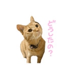 くたーくんの日常（個別スタンプ：5）