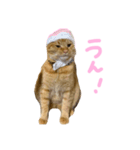 くたーくんの日常（個別スタンプ：7）
