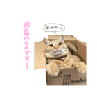 くたーくんの日常（個別スタンプ：8）