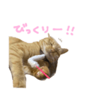 くたーくんの日常（個別スタンプ：9）