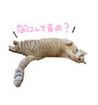 くたーくんの日常（個別スタンプ：14）