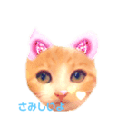 どっく＆きゃっとcare（個別スタンプ：7）