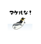 全力ペンギン（個別スタンプ：11）