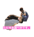 あべけーとスタンプ（個別スタンプ：9）