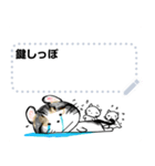 Lucky cat, key tail,kotaro（個別スタンプ：3）